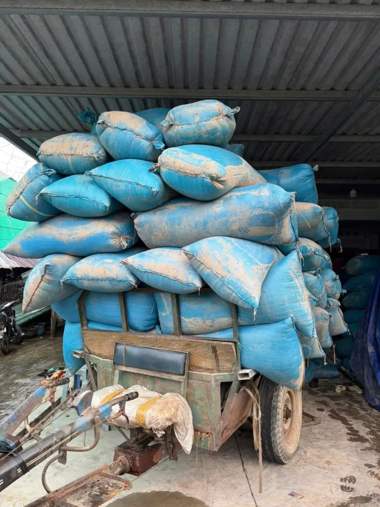 Nỗ lực xoay xở giữa thiệt hại nặng nề của từng hộ
