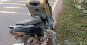 Chuyến đi sống chết về quê trong đêm lũ