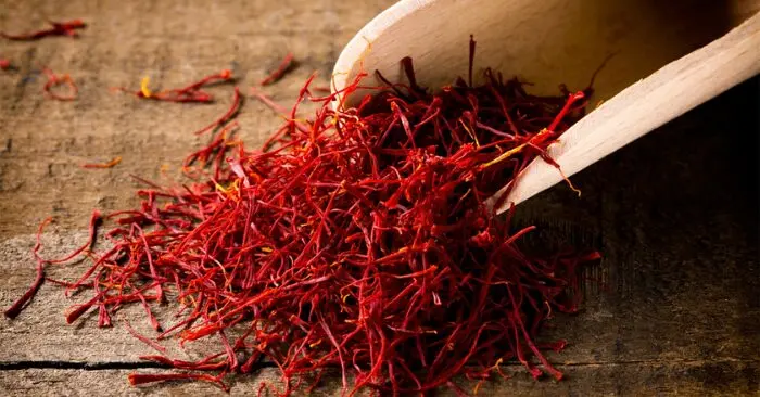Nhụy hoa nghệ tây – Đặc sản “quý tộc” giá tới 450 triệu đồng/kg