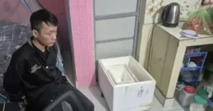 Ngăn ngừa vi phạm pháo
