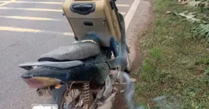 Hành trình sống chết về quê