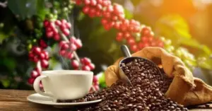 Hàng Việt Nam vào Mỹ lập kỷ lục mới trong 10 tháng đầu năm
