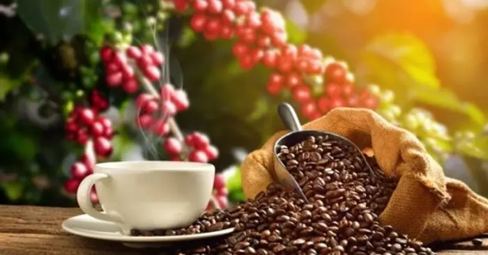 Hàng Việt Nam vào Mỹ lập kỷ lục mới trong 10 tháng đầu năm