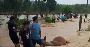 Lũ lên nhanh ở Khánh Hòa