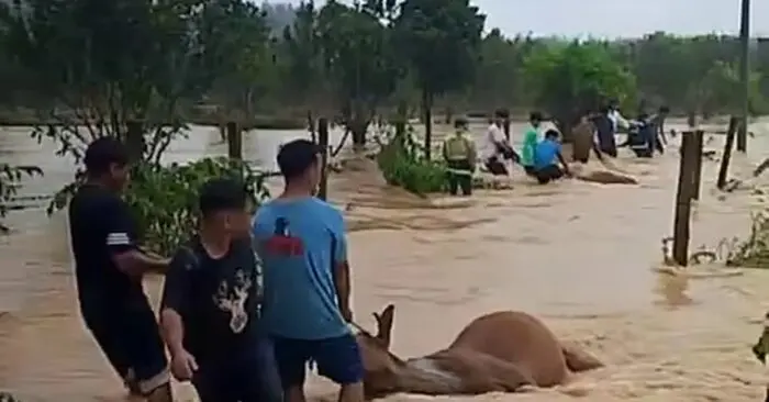 Lũ lên nhanh ở Khánh Hòa