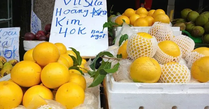 Vú sữa hoàng kim giá rẻ: Giá rớt thấp chưa từng có