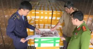 Phát hiện hơn 7 tấn cá khoai ướp formol