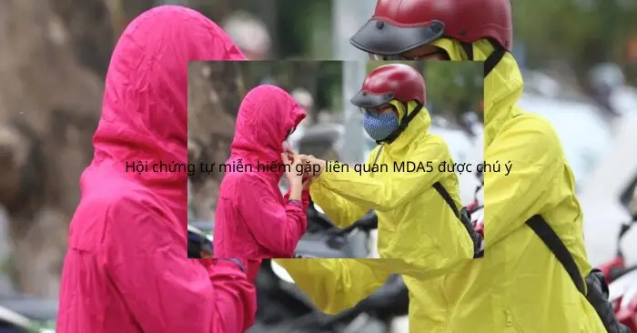 Bảo vệ tim mùa lạnh: 5 việc nên làm mỗi ngày