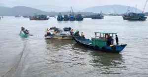 Tàu cá TP.HCM chìm tại cảng Hòn La: 4 ngư dân được cứu an toàn