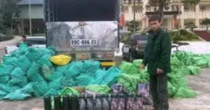 Công an Quảng Ninh khởi tố vụ vận chuyển hơn 1.000 bình khí cười