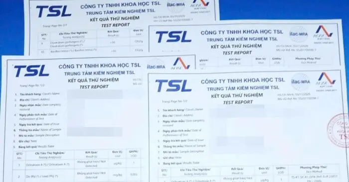 Vụ án 100 bị cáo công ty TSL Avatek sắp xét xử