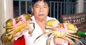 Cà Mau xây dựng vùng nuôi cua biển