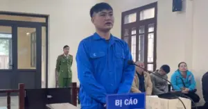 Lừa góp vốn mua gỗ chiếm đoạt 335 triệu đồng: 8 năm tù