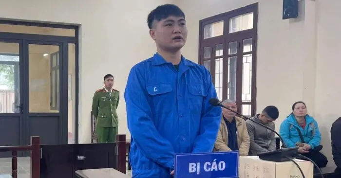 Lừa góp vốn mua gỗ chiếm đoạt 335 triệu đồng: 8 năm tù