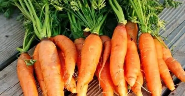 Vi nhựa trong rau củ: 2 loại củ quả quen thuộc gây lo ngại