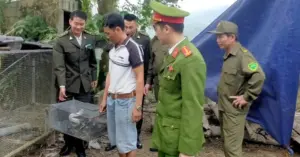 Người dân giao nộp trăn gấm và cu li quý hiếm tại Thanh Hóa