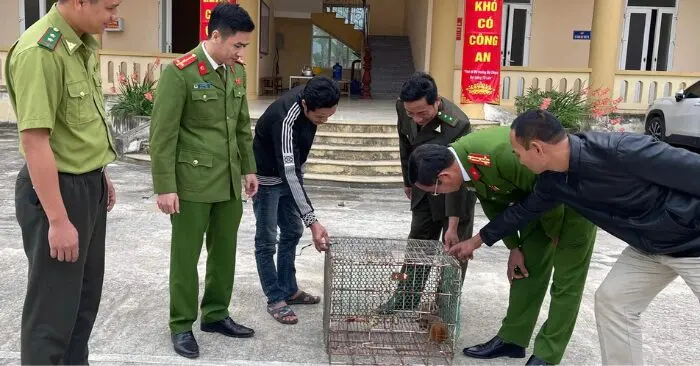 Người dân giao nộp trăn gấm và cu li quý hiếm tại Thanh Hóa