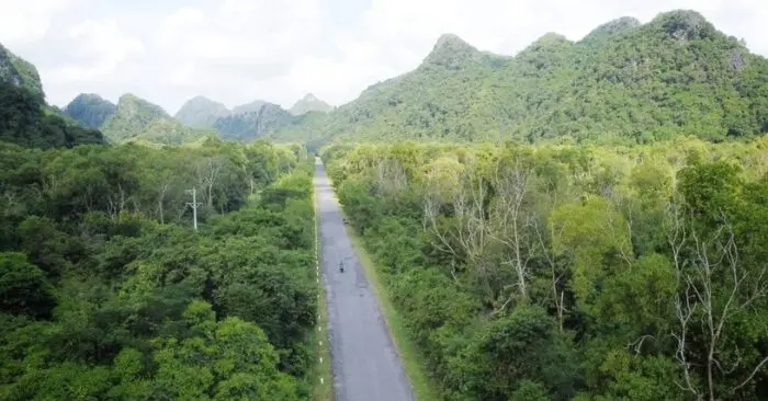 Hải Phòng thu lớn từ thị trường carbon