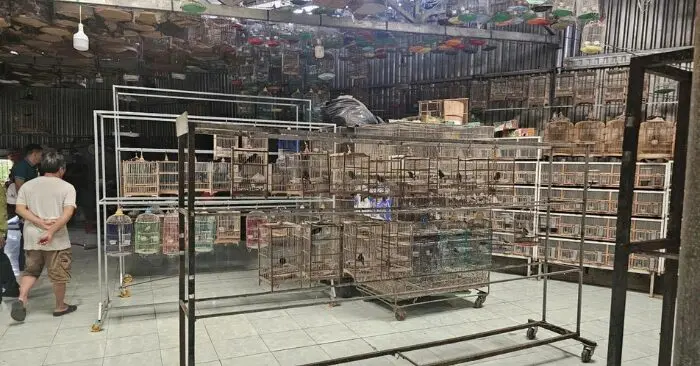 Bộ Công an siết nạn nuôi nhốt chim hoang dã