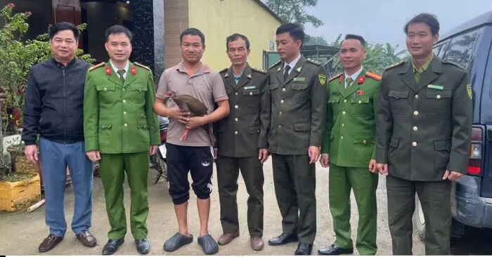 Người dân bắt được gà lôi trắng