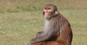 điểm yếu lớn của AI