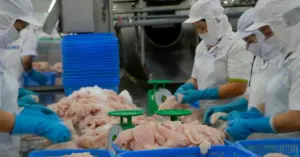 Cá tra Việt Nam bán nhiều nhất sang Trung Quốc