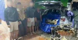 Đường dây trộm cắp tiêu thụ chó ở Tây Ninh bị triệt phá