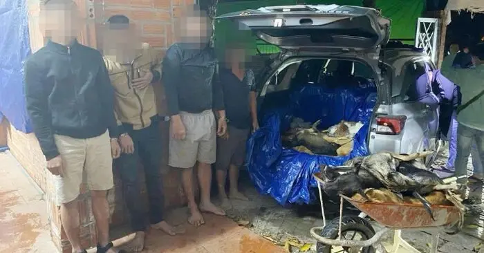 Đường dây trộm cắp tiêu thụ chó ở Tây Ninh bị triệt phá