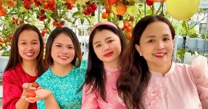 Vườn cà chua sân thượng thành góc chụp ảnh Tết lạ giữa phố