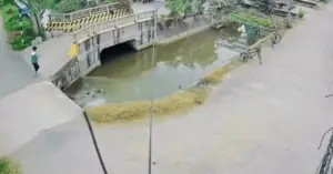 Bé trai Hưng Yên hét lớn cứu 2 người rơi xuống kênh