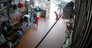 Khẩn trương truy bắt hung thủ sát hại hai phụ nữ