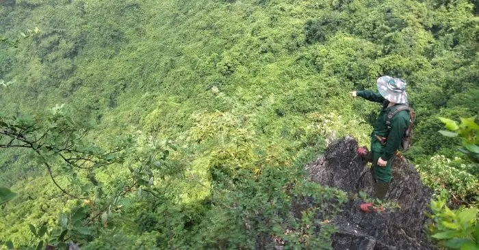 Động vật quý hiếm tại Ninh Bình