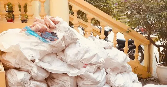 Buôn lậu dịp Tết