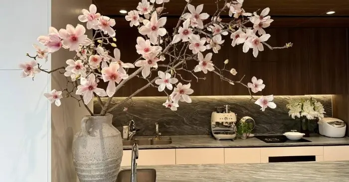 Hoa mộc lan nhập khẩu được săn đón tại thị trường Hà Nội