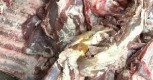 TP.HCM kiểm tra doanh nghiệp cung cấp thực phẩm hết hạn cho trường học
