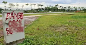 Đấu giá đất