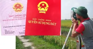 Hàng xóm không ký giáp ranh