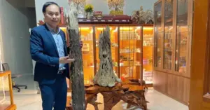 khúc gỗ trầm tốc bông