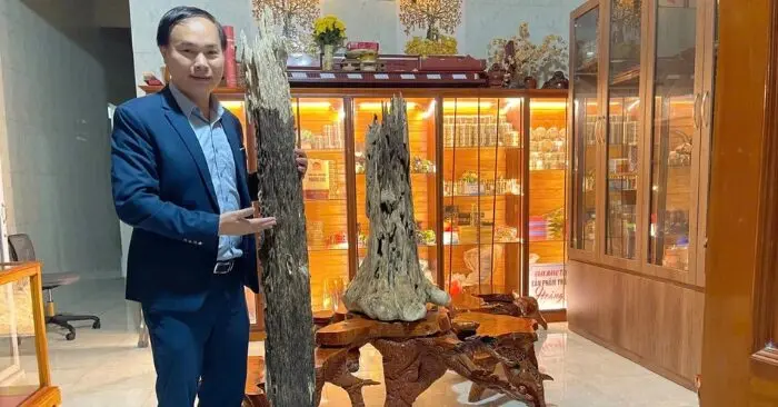 khúc gỗ trầm tốc bông