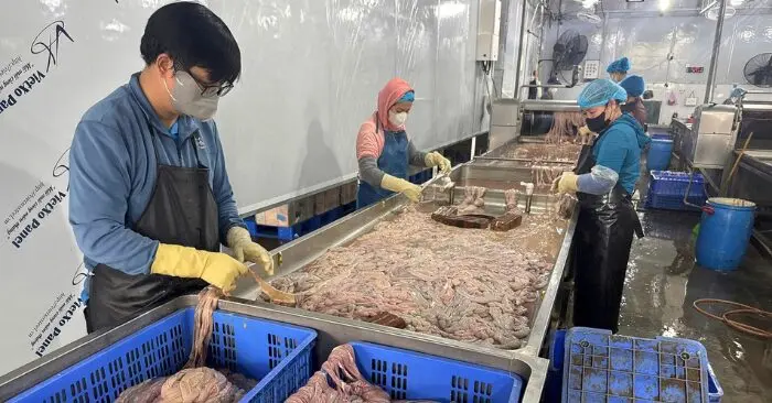 Hơn 60 tấn lòng hôi thối chuyển màu bị phát hiện tại Hà Nội
