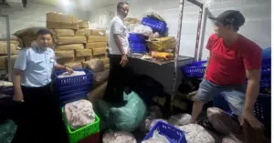 Cá, thịt đông lạnh không rõ nguồn gốc