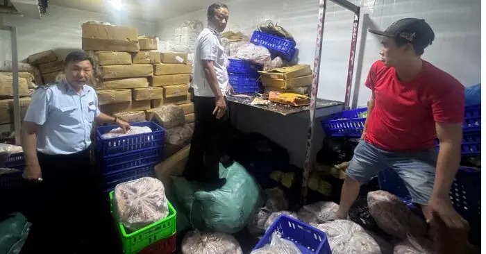 Cá, thịt đông lạnh không rõ nguồn gốc