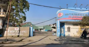 Tiêu hủy pate Hạ Long