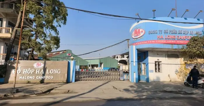 Tiêu hủy pate Hạ Long