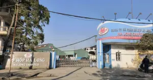 Công ty Đồ hộp Hạ Long