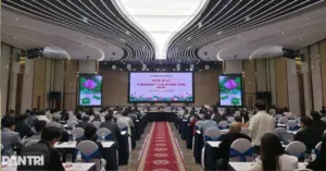 Dự án Nuôi em Nghệ An