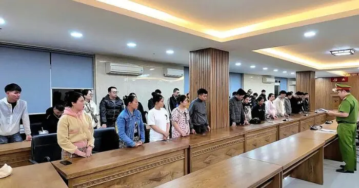 Mạng lưới nuôi tài khoản ngân hàng