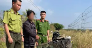 Giăng lưới bẫy hơn 140 con chim ở Tây Ninh