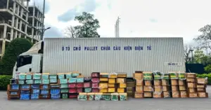 Thuốc lá lậu