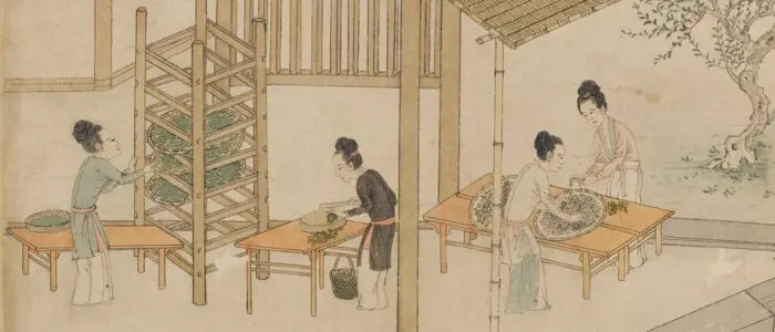 Khiêm nhược